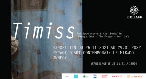Visite commentée : Exposition  Timiss de Philippe Astorg & Axel Bernolin, Mabeye Deme, Tim Frager, Anri Sala