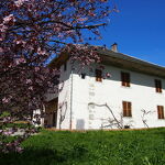 Manoir de la Tour
