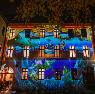 Noël des Alpes : illuminations des bâtiments historiques