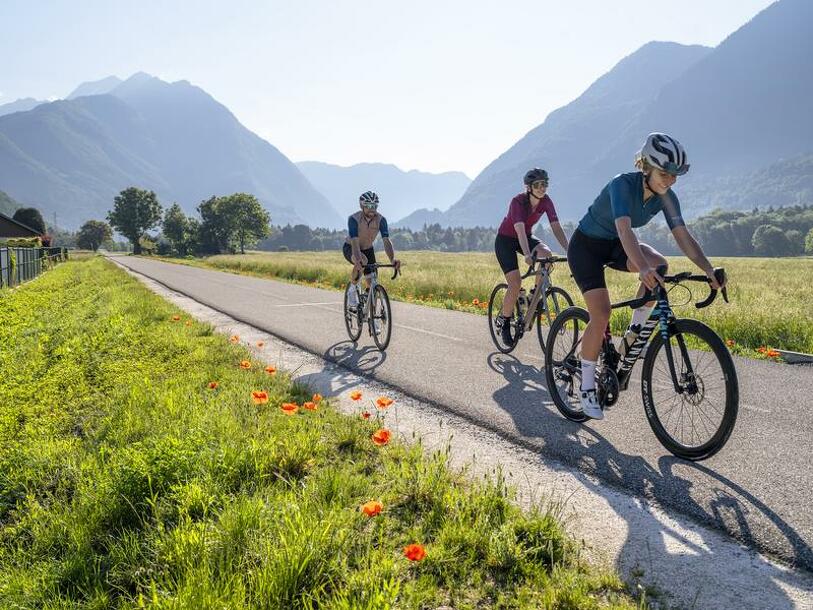 Tour de la Tournette par Serraval - Fahrradrouten