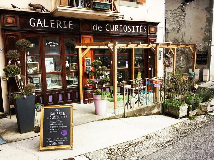 Galerie de curiosités - Vanessa Renoux