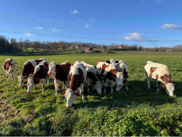 Petite boucle des Paysages des Lanches