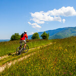 Mountainbike-Strecke 7 - La Cuséenne (Centre VTT-FFC de l'Albanais)