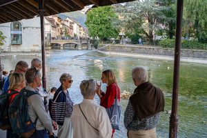 Promenade « I love Thiou » :  Annecy Paysages