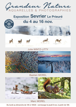 Ausstellung "Grandeur Nature"