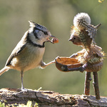Ausstellung "Grandeur Nature"_Sevrier