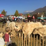 L'Ancileviennerie : Fête d'automne