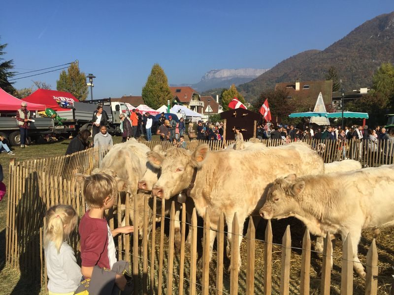L'Ancileviennerie : Fête d'automne