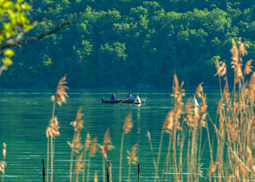 Pêche sur le lac d'Annecy