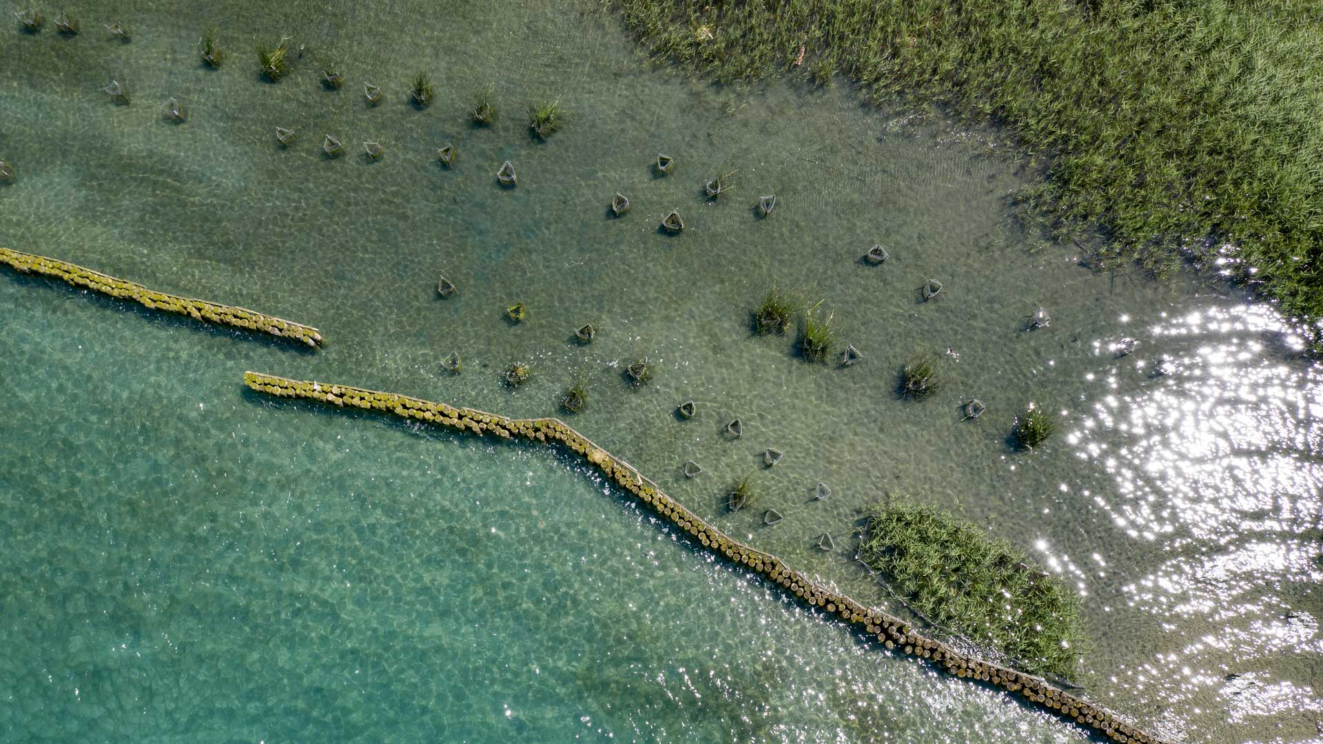 Vue aérienne de la Réserve Naturelle du Bout du Lac