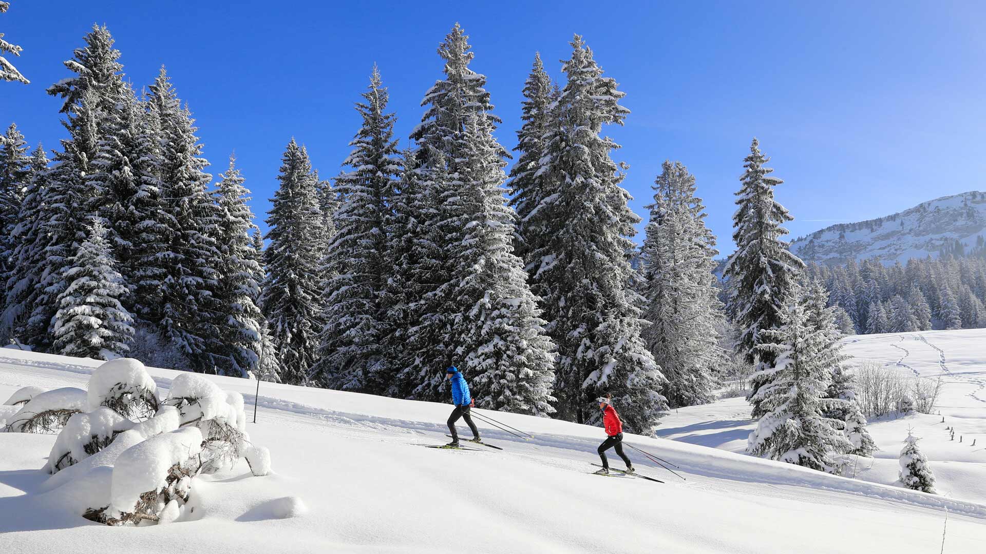 Skilanglauf auf dem Plateau des Glières